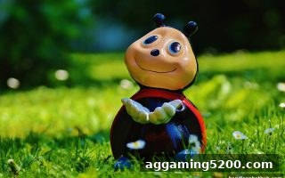 让球盘平台深度揭秘：北京赛车玩家最容易掉进的四大认知陷阱