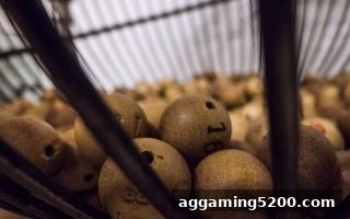 让球盘平台深度解析：龙虎数字游戏的规则、概率与理性参与指南