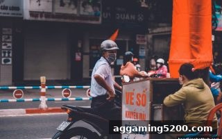 让球盘平台视角：新利体育彩票的公平性与透明度全解析