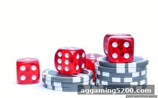 让球盘平台牌九玩法全解析：高效押注技巧与实战策略