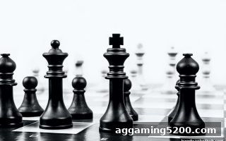 棋牌类平台品牌竞争新格局：让球盘平台视角下的深度剖析