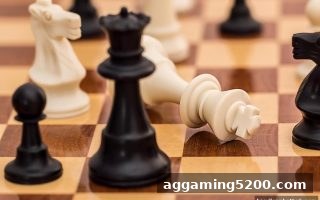 飞禽走兽围棋与国际象棋的深度对比：让球盘平台玩家的策略宝典