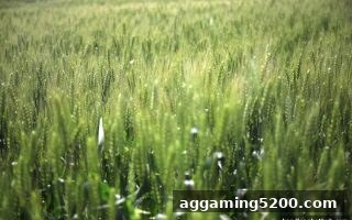 深度解析FunkyGames洗码返利：让球盘平台玩家的高效回馈攻略