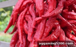 让球盘平台攻略：每日签到福利与免实名出款玩法全解析