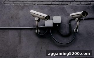 让球盘平台用户必读：互动娱乐中的法律纽带与维权策略