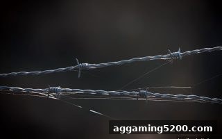 让球盘平台警示：识破黑平台利用快捷支付布局的资金收割陷阱