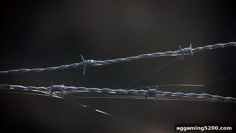 让球盘平台警示：识破黑平台利用快捷支付布局的资金收割陷阱